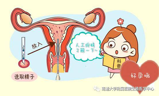 国家心理咨询师二级证