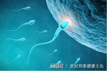 孕期