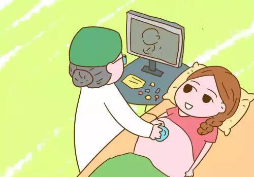 生育性别