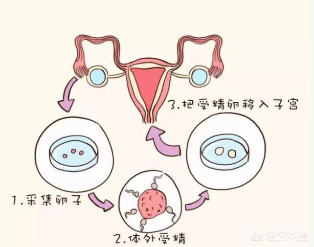 母乳喂养