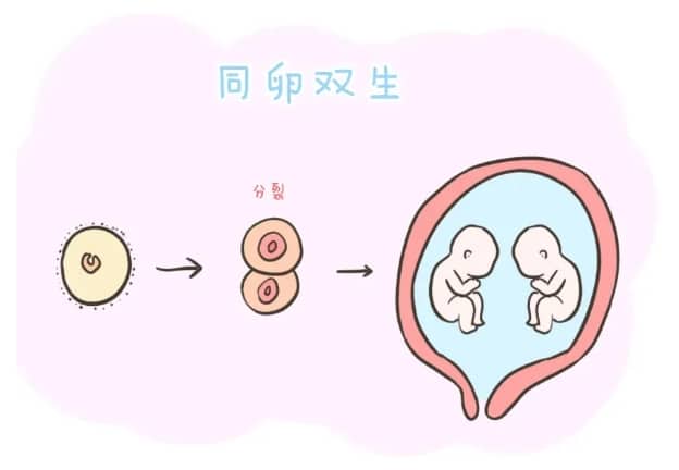 国妇婴